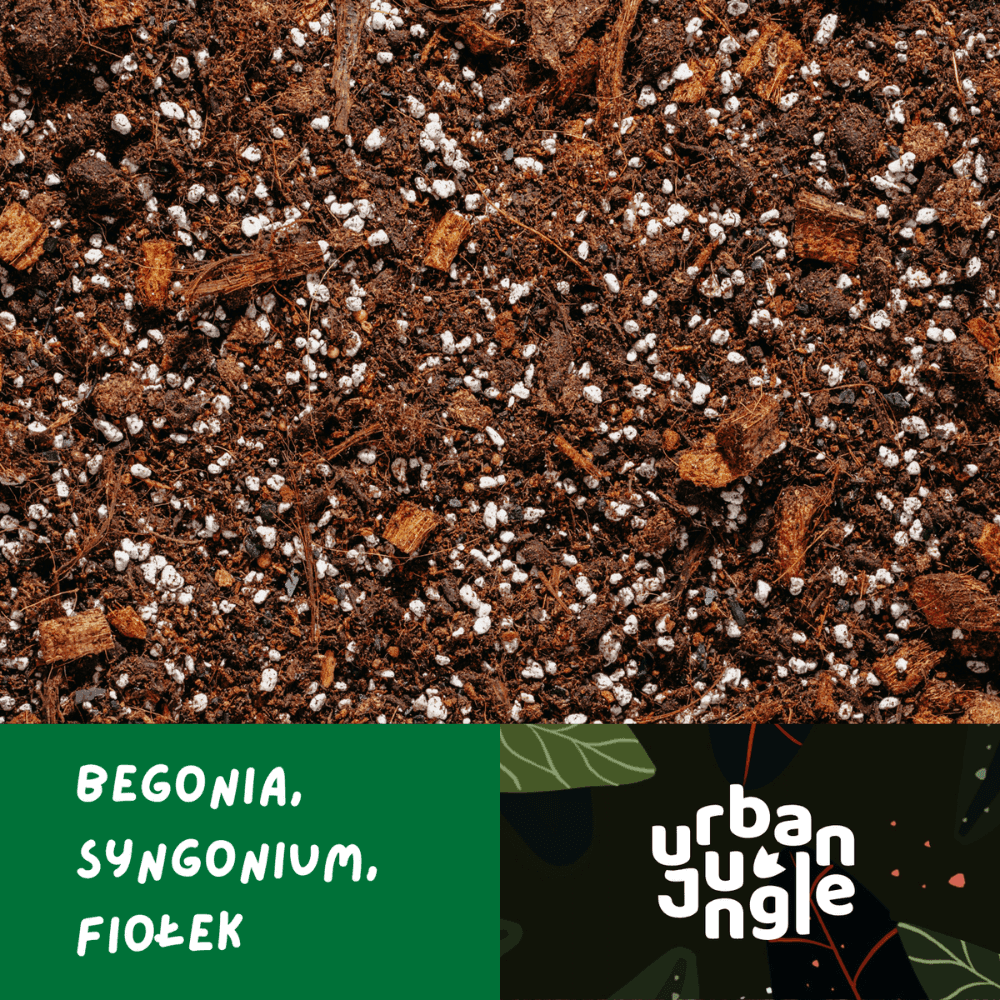 Podłoże Do Begonii, Syngonium, Fiołka, Bigos, Ziemia Urban Jungle
