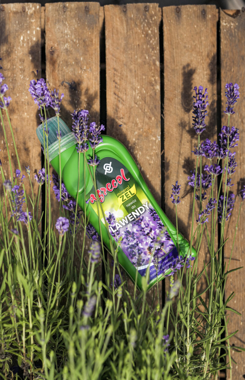 Żel mineralny Nawóz do Lawendy 0,5L Żel mineralny Nawóz do Lawendy 0,5L