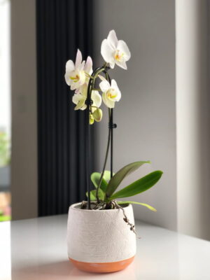 Donica ceramiczna Savona