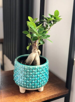 Donica Vintage na nóżkach 3 kolory