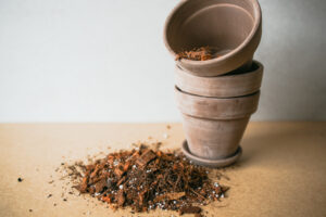 Podłoże bardzo przypuszczalne – typu ‘BIGOS’ 2L