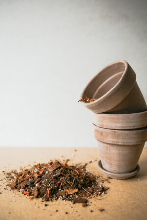 Podłoże bardzo przypuszczalne – typu ‘BIGOS’ 2L