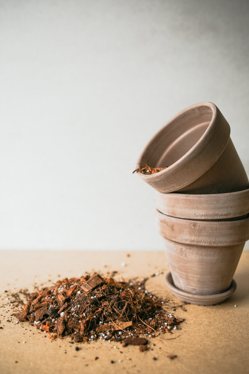 Podłoże bardzo przypuszczalne – typu ‘BIGOS’ 2L