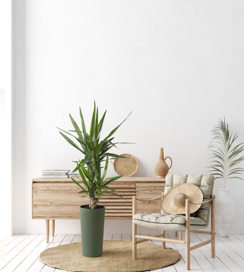 Donica LILIA ECO 19 cm Dłuto