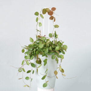 Podpórka “DONIEBA”