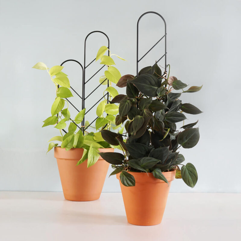 Podpórka “DRABINKA DUŻA”