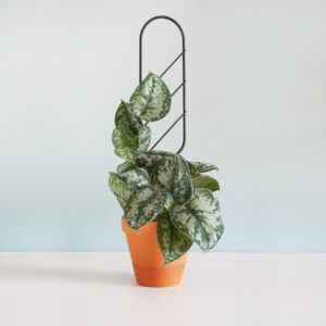 Podpórka “DRABINKA MAŁA”