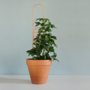 Podpórka “JAJO”