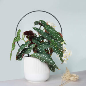 Podpórka “KOŁO”