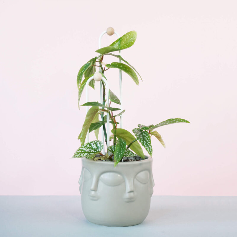 Podpórki “ŁUCZKI” komplet 2 sztuk