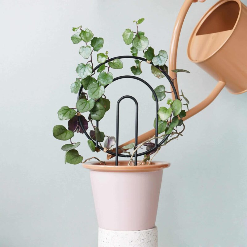 Podpórka “SŁOŃCE”