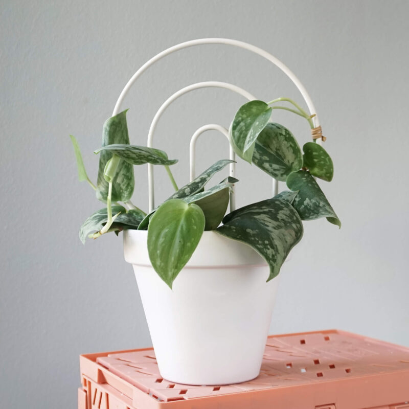 Podpórka “SŁOŃCE”