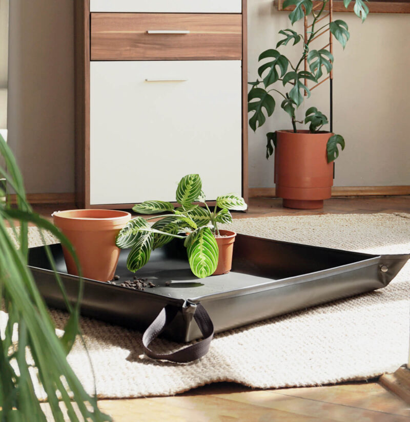 MATA DO PRZESADZANIA  od Busz.busz