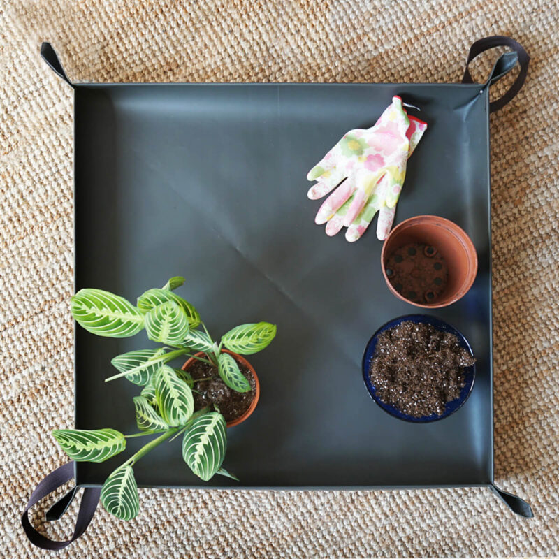 MATA DO PRZESADZANIA  od Busz.busz