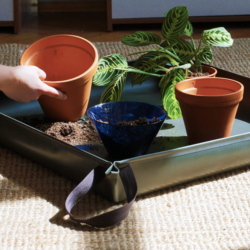 MATA DO PRZESADZANIA  od Busz.busz