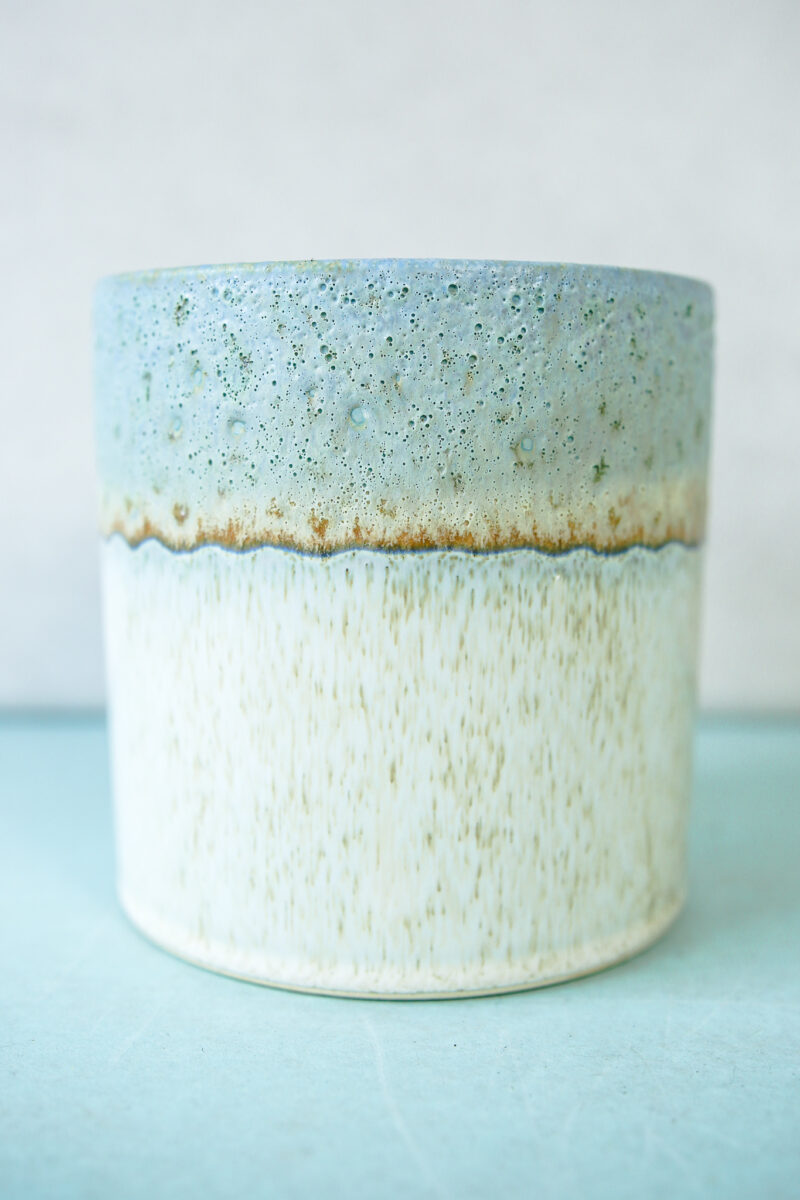 Osłonka lazurowe wybrzeże