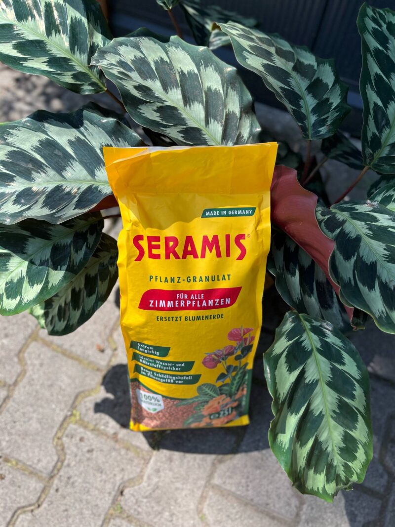 Seramis – Podłoże do roślin doniczkowych