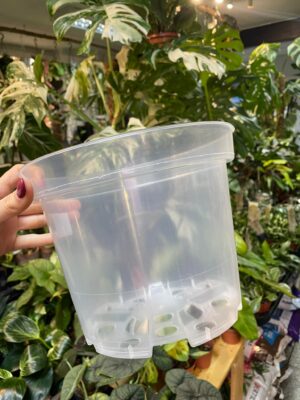 Doniczka produkcyjna przeźroczysta