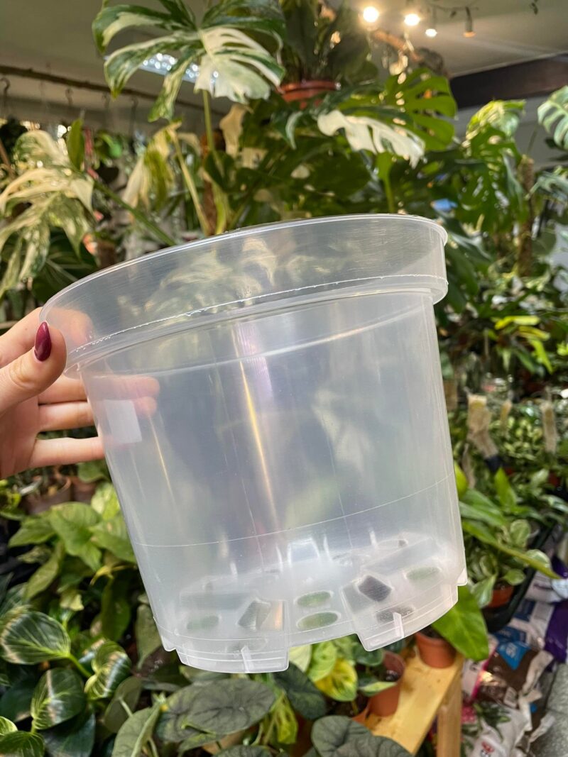 Doniczka produkcyjna przeźroczysta