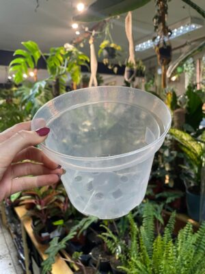 Doniczka produkcyjna przeźroczysta