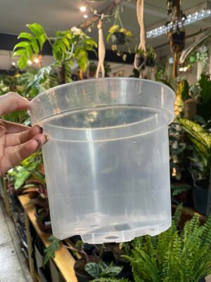 Doniczka produkcyjna przeźroczysta