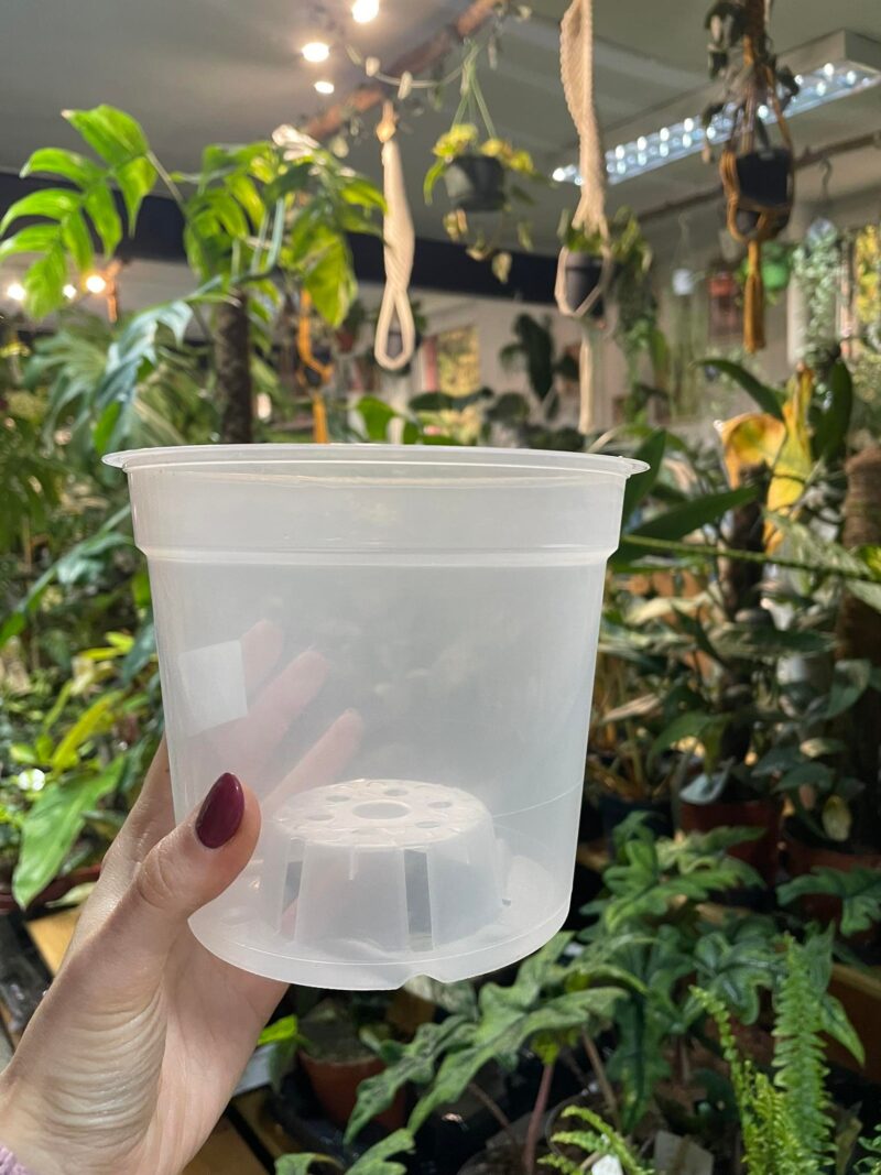 Doniczka produkcyjna przeźroczysta