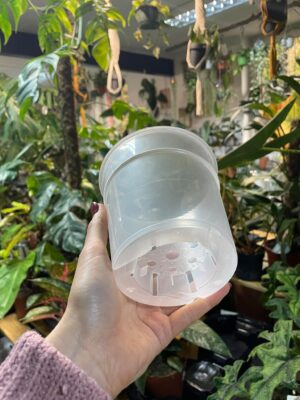 Doniczka produkcyjna przeźroczysta