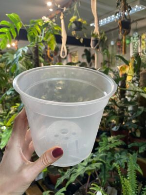 Doniczka produkcyjna przeźroczysta