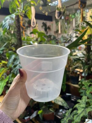 Doniczka produkcyjna przeźroczysta
