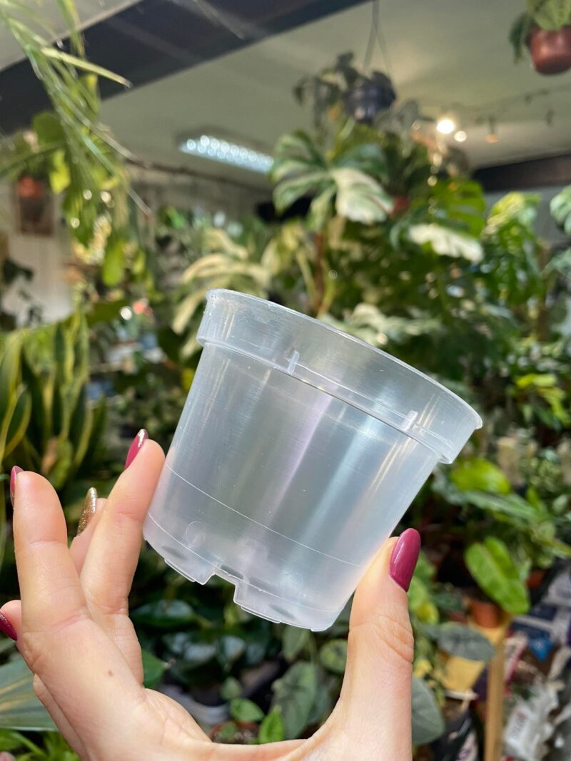 Doniczka produkcyjna przeźroczysta