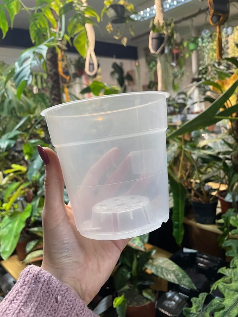 Doniczka produkcyjna przeźroczysta