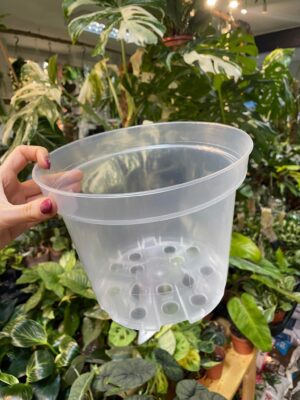 Doniczka produkcyjna przeźroczysta