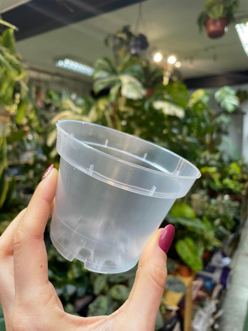 Doniczka produkcyjna przeźroczysta