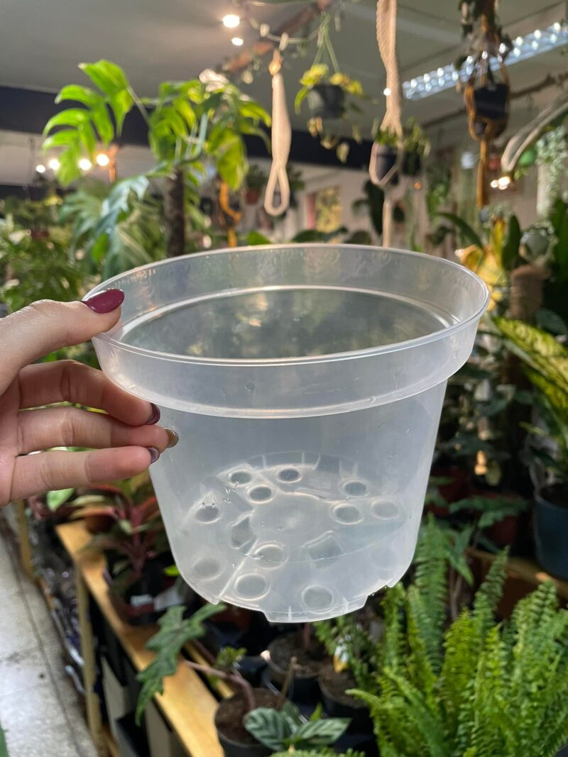 Doniczka produkcyjna przeźroczysta