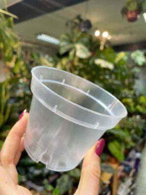 Doniczka produkcyjna przeźroczysta