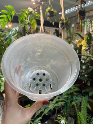 Doniczka produkcyjna przeźroczysta