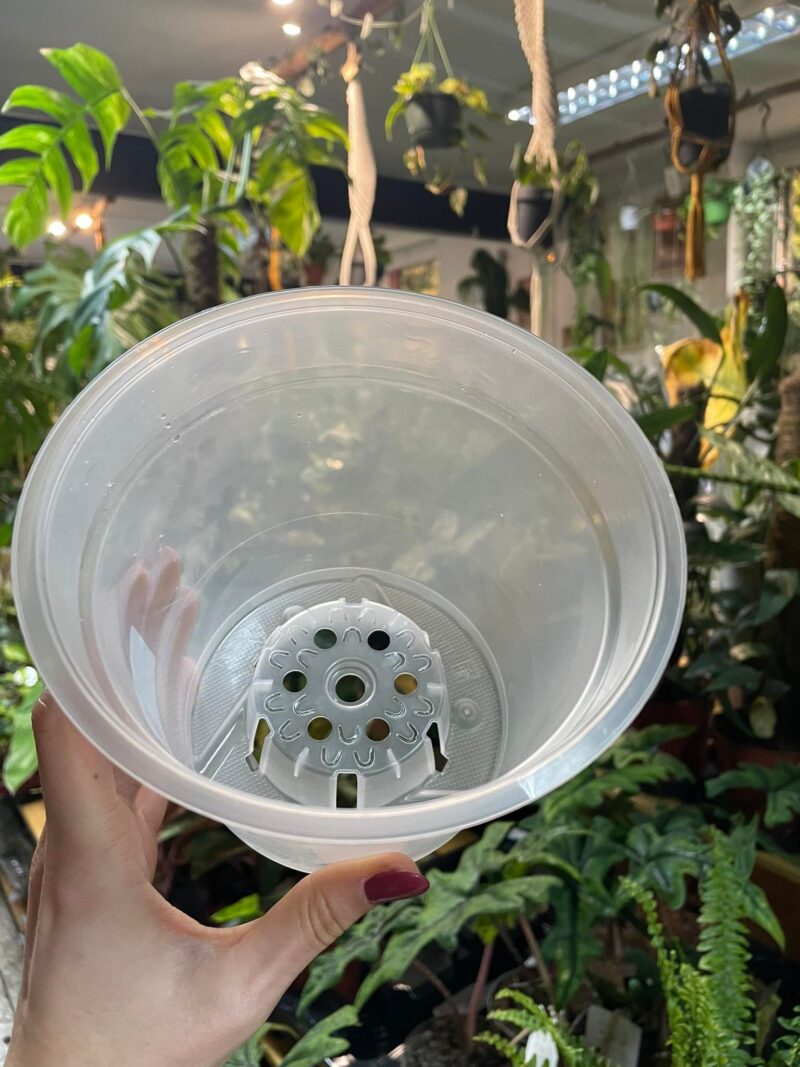 Doniczka produkcyjna przeźroczysta