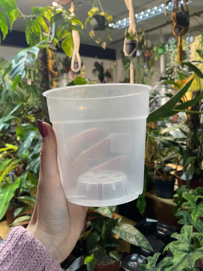 Doniczka produkcyjna przeźroczysta