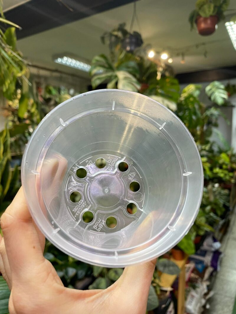 Doniczka produkcyjna przeźroczysta