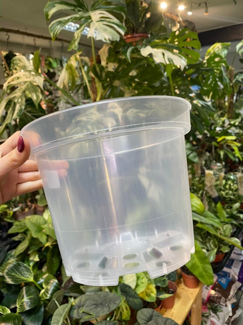 Doniczka produkcyjna przeźroczysta