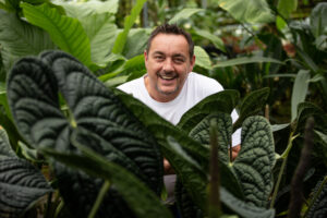 Anthurium Luxurians