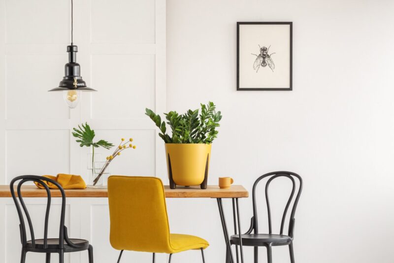 Osłonka FRIDA różne kolory!