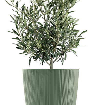 Osłonka Ryfo N różne rozmiary i kolory