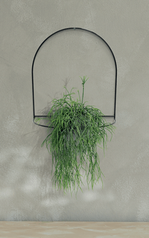 Kwietnik wiszący Showy Hanger 3