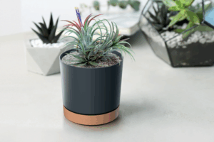 Doniczka Tubo PM różne kolory i rozmiary