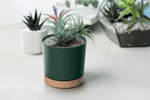 Doniczka Tubo PM różne kolory i rozmiary