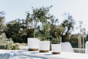 Doniczka Tubo PM różne kolory i rozmiary