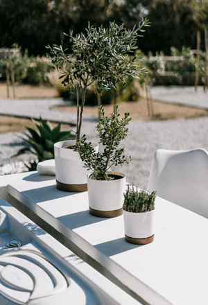 Doniczka Tubo PM różne kolory i rozmiary