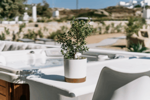 Doniczka Tubo PM różne kolory i rozmiary