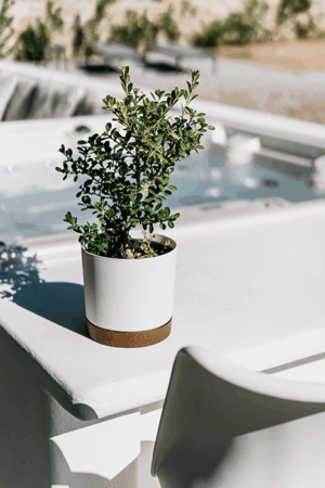 Doniczka Tubo PM różne kolory i rozmiary